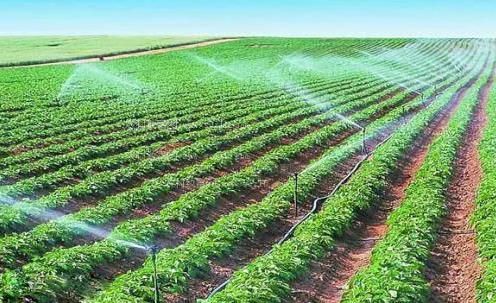 按摩日逼片黑丝农田高 效节水灌溉